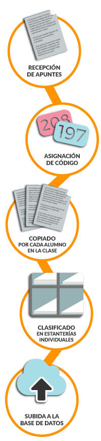 ¡Cómo trabajamos!